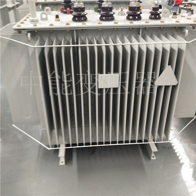 西藏S20-800KVA变压器