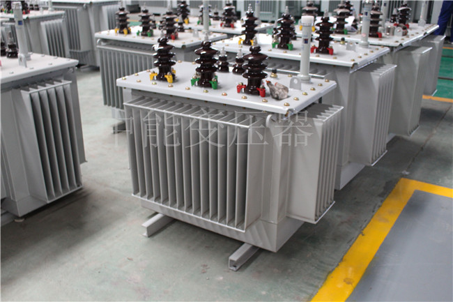 西藏S22-100KVA/10KV/0.4KV变压器
